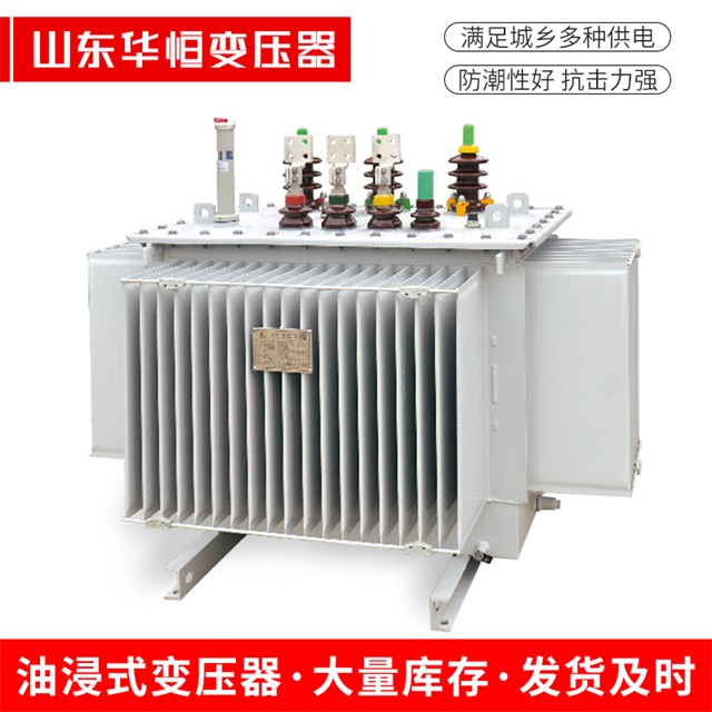 S13-10000/35台江台江台江电力变压器